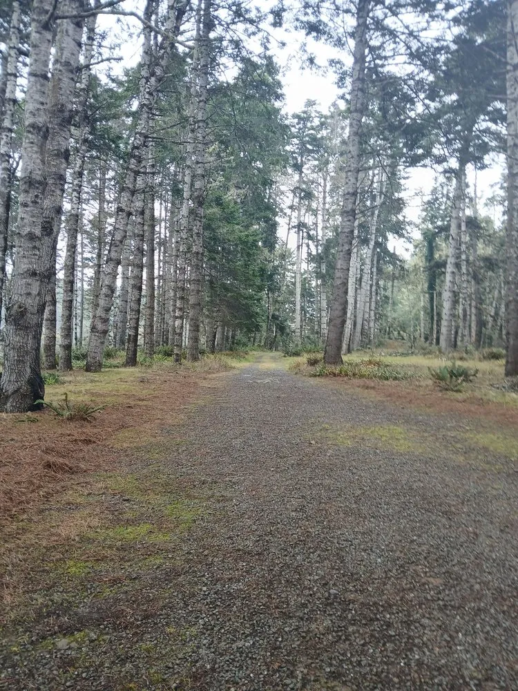 Local landscape installation with custom design in Fort Bragg, CA by Alex's Gardening Services