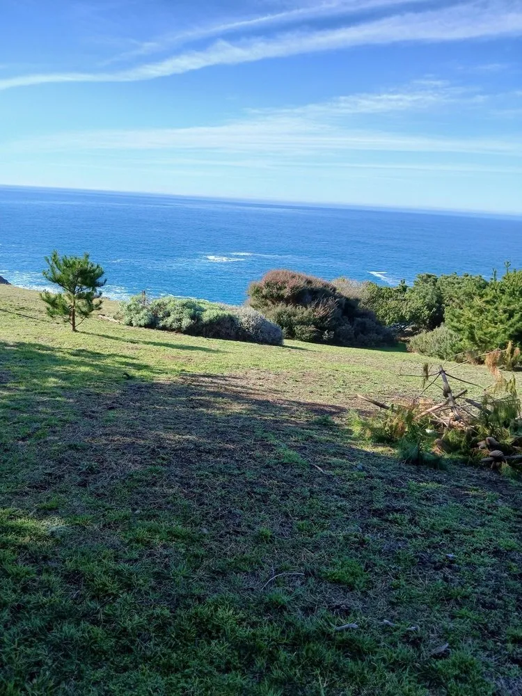 Reliable landscape design for residential properties across Fort Bragg, CA - Alex's Gardening Services