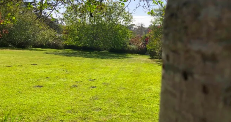 Local lawn care service in Fort Bragg, CA by Alex's Gardening Services