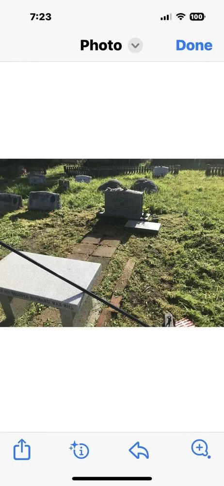 Expert landscaping services for residential properties across Fort Bragg, CA - Alex's Gardening Services