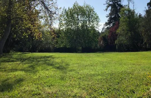 Trusted lawn mowing service for year-round maintenance in Fort Bragg, CA by Alex's Gardening Services