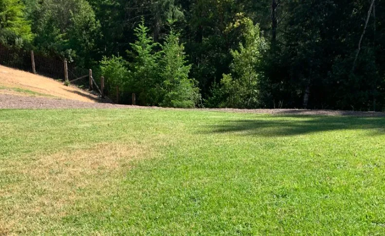 Expert outdoor landscaping near you across Fort Bragg, CA - Alex's Gardening Services