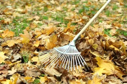 Reliable garden landscaping in Fort Bragg, CA by Alex's Gardening Services