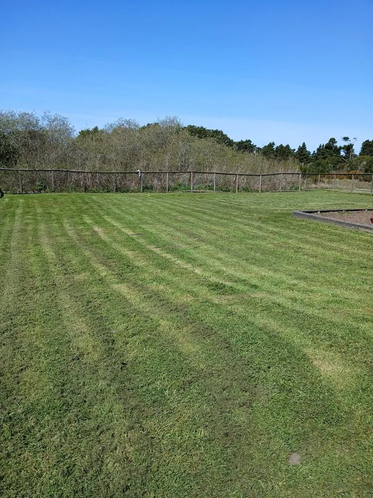 Trusted landscaping services in Fort Bragg, CA - Alex's Gardening Services