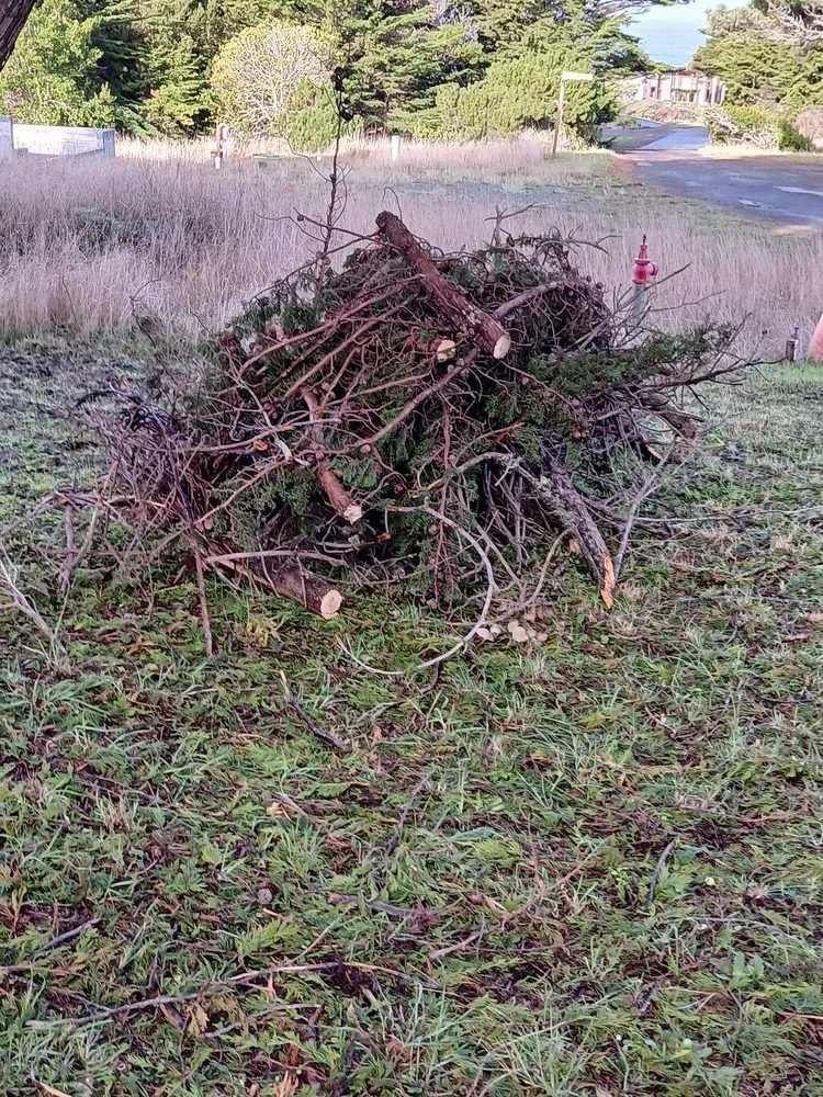 Custom lawn mowing service experts serving Fort Bragg, CA - Alex's Gardening Services