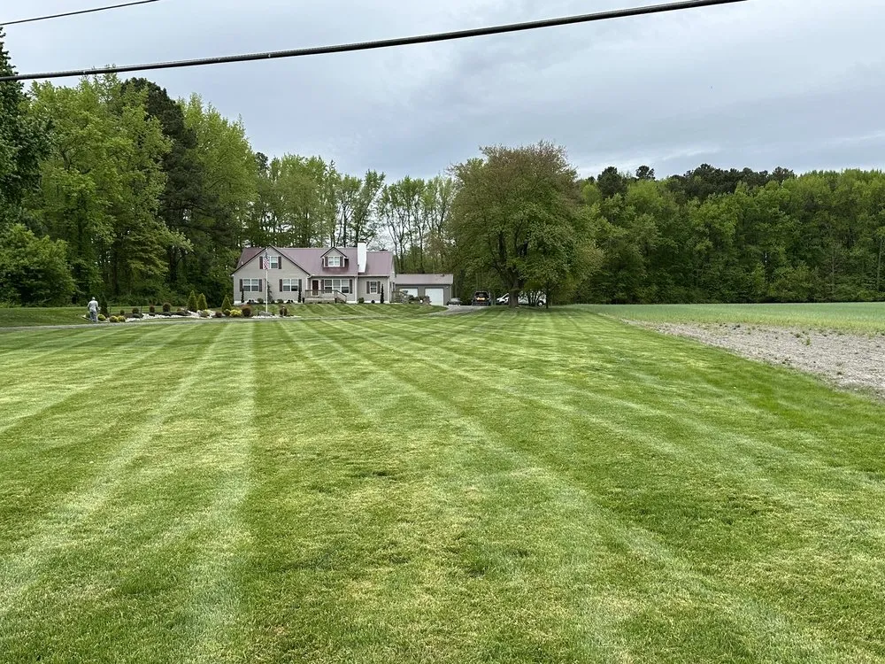 Expert landscape design for beautiful yards in Salisbury, MD by Alexs Grass Care