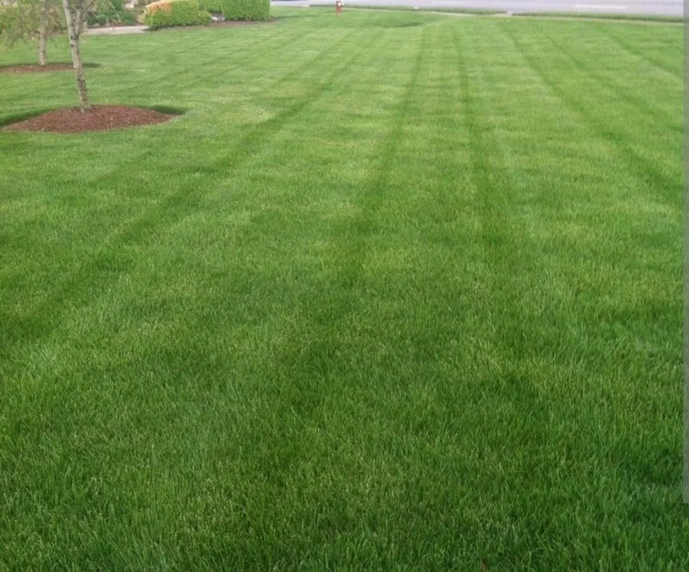 Reliable lawn mowing service in Mansfield, OH - Alex's Landscape