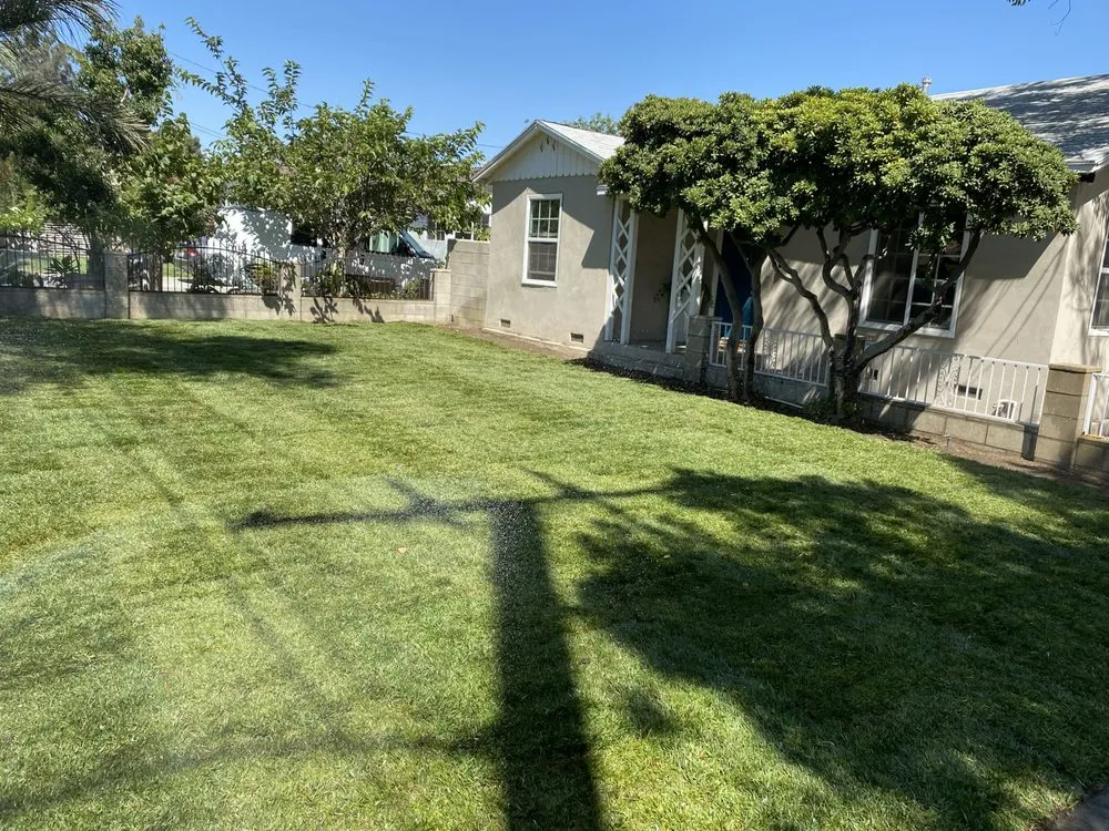 Affordable lawn care service in Riverside, CA by Alex’s Landscape