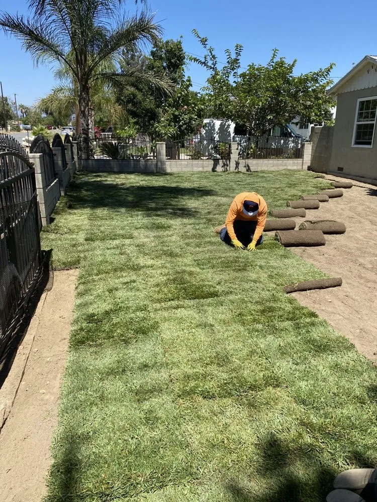 Professional lawn care service in Riverside, CA by Alex’s Landscape