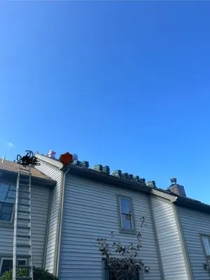 Alex's Landscape Services Logo