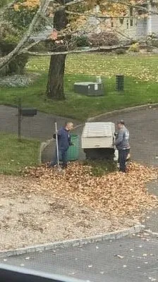 Alex's Landscaping & Design Logo