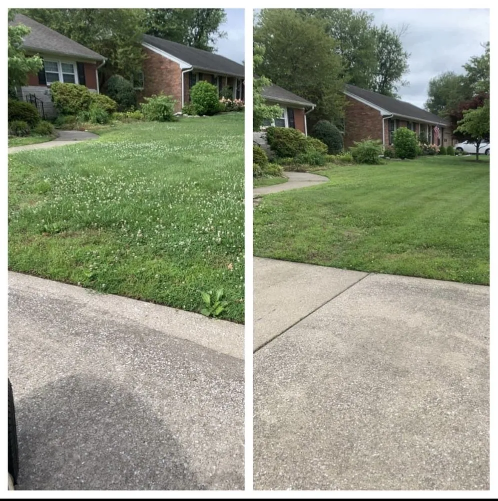 Local yard cleanup service for homes across Owensboro, KY - Alex’s Landscaping and Full Lawn Service