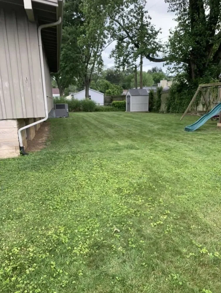 Affordable landscaping services experts serving Owensboro, KY - Alex’s Landscaping and Full Lawn Service