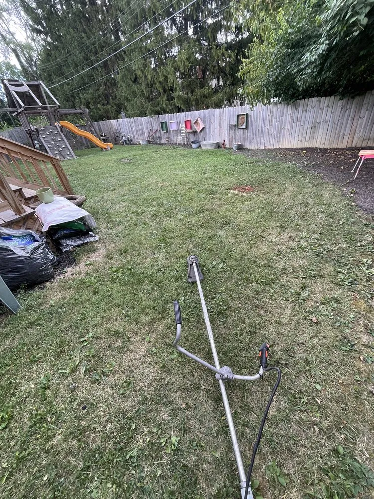 Top-rated lawn care service experts serving Columbus, OH - Alex's Landscaping