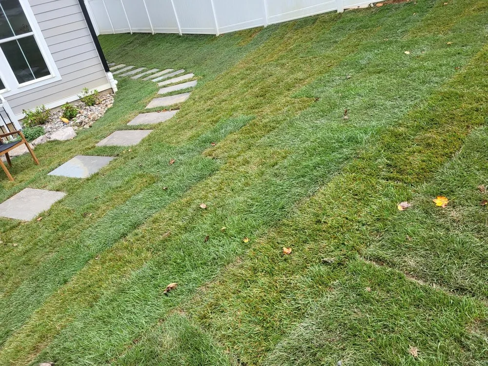 Trusted lawn care service with custom design in Dale City, VA by Alex’s Landscaping