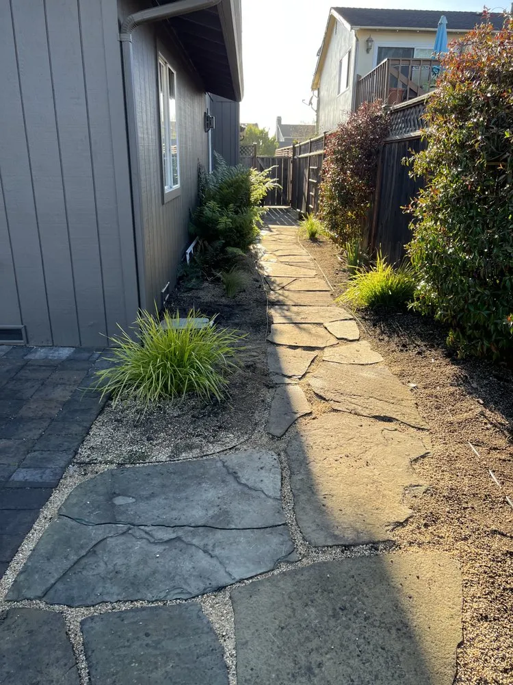Expert yard maintenance near you in El Granada, CA by Alex’s Landscaping
