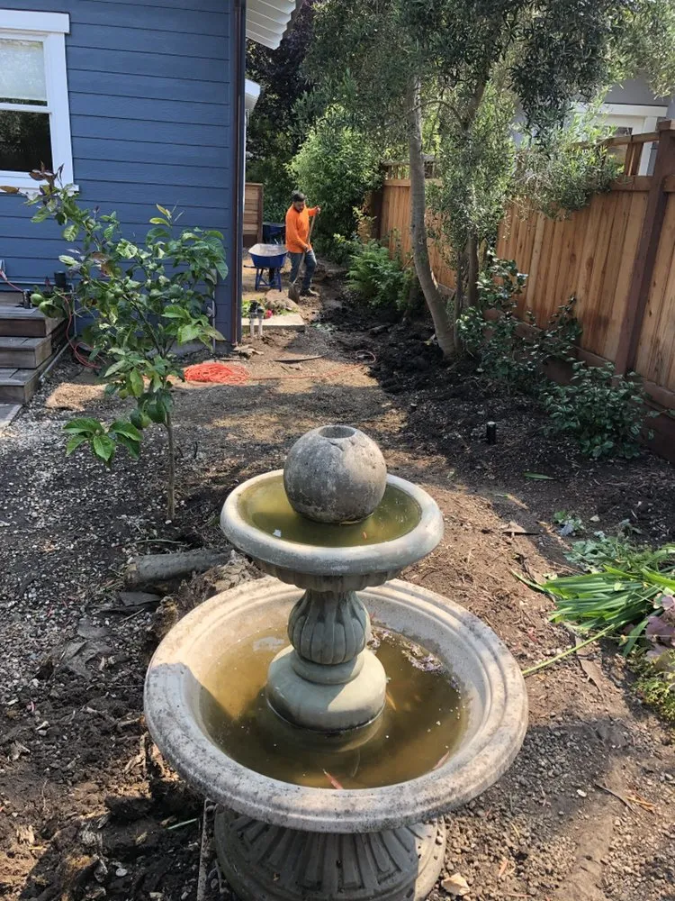 Reliable yard cleanup service in El Granada, CA by Alex’s Landscaping