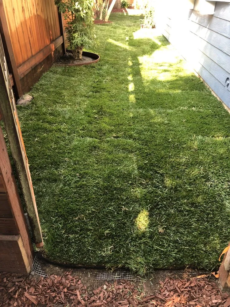 Top-rated lawn mowing service experts serving El Granada, CA - Alex’s Landscaping