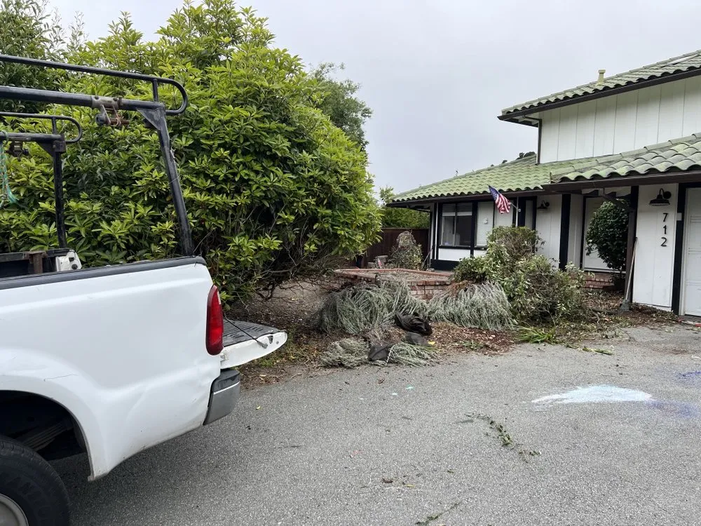 Affordable lawn care service for beautiful yards across El Granada, CA - Alex’s Landscaping