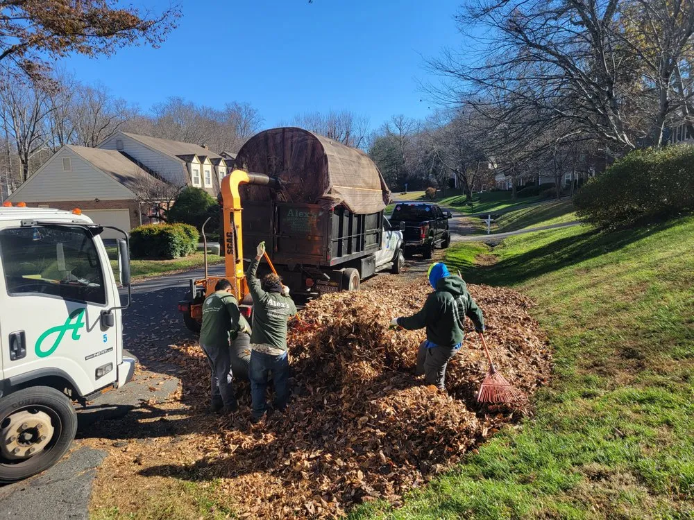 Custom landscape installation for beautiful yards across Falls Church, VA - Alex's landscaping