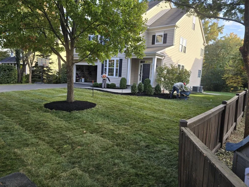 Affordable residential landscaping experts serving Falls Church, VA - Alex's landscaping