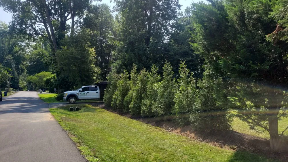 Expert yard maintenance for year-round maintenance across Falls Church, VA - Alex's landscaping