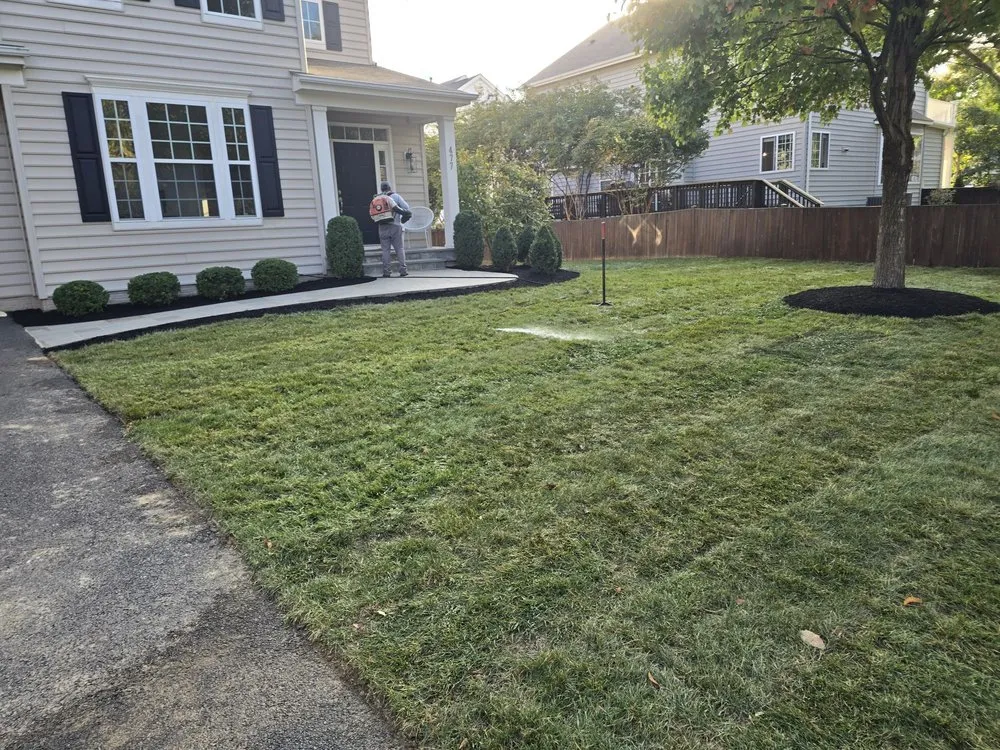 Reliable lawn care service experts serving Falls Church, VA - Alex's landscaping