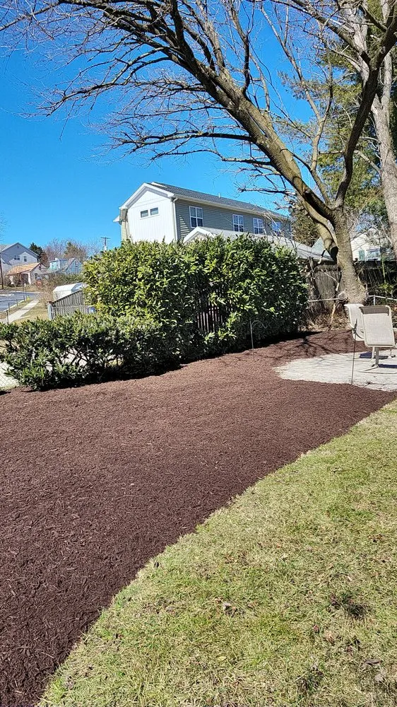 Custom landscape design in Falls Church, VA - Alex's landscaping