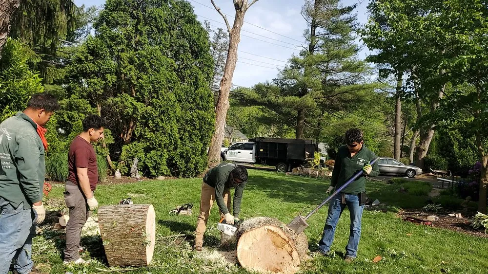 Reliable lawn mowing service in Falls Church, VA by Alex's landscaping