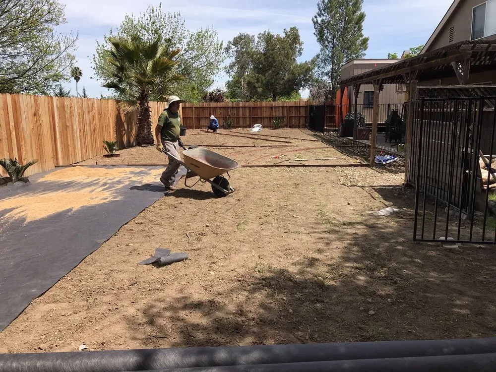 Trusted yard cleanup service in Paso Robles, CA - Alex's Landscaping
