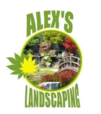 Expert yard cleanup service in Paso Robles, CA - Alex's Landscaping