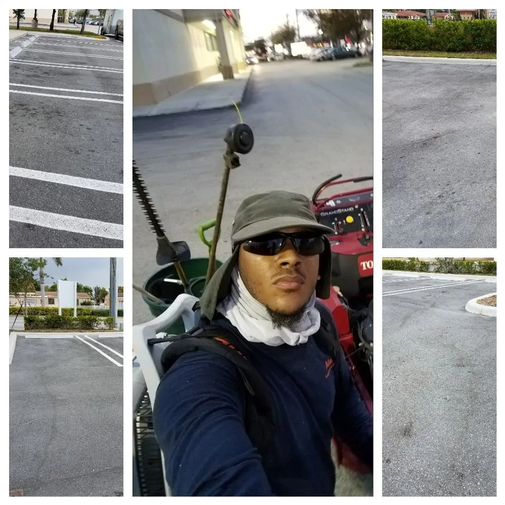 Local yard cleanup service in North Miami Beach, FL by Alex's Landscaping Service Corp