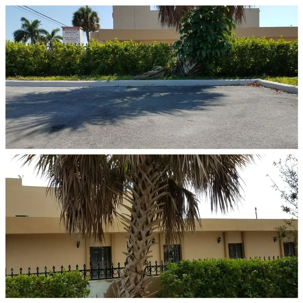 Affordable yard cleanup service in North Miami Beach, FL by Alex's Landscaping Service Corp