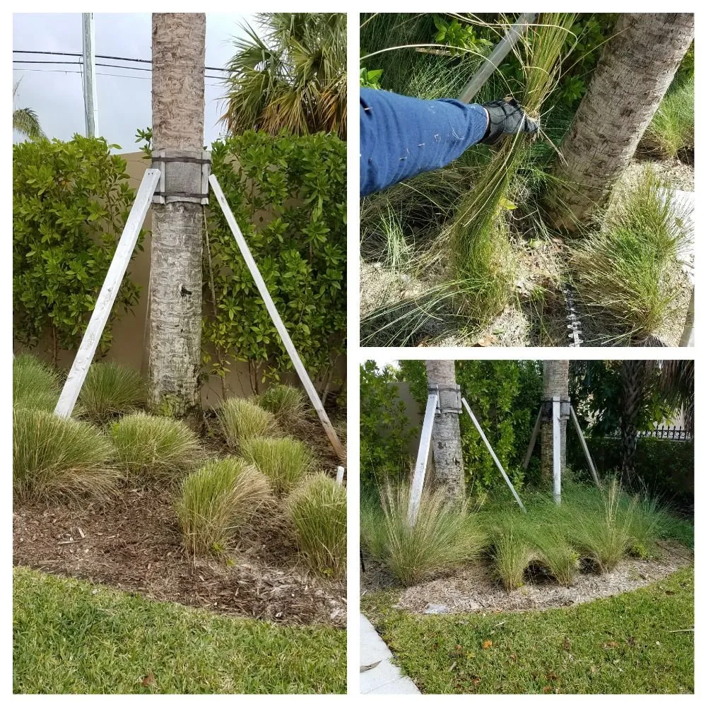 Trusted garden landscaping for beautiful yards in North Miami Beach, FL by Alex's Landscaping Service Corp