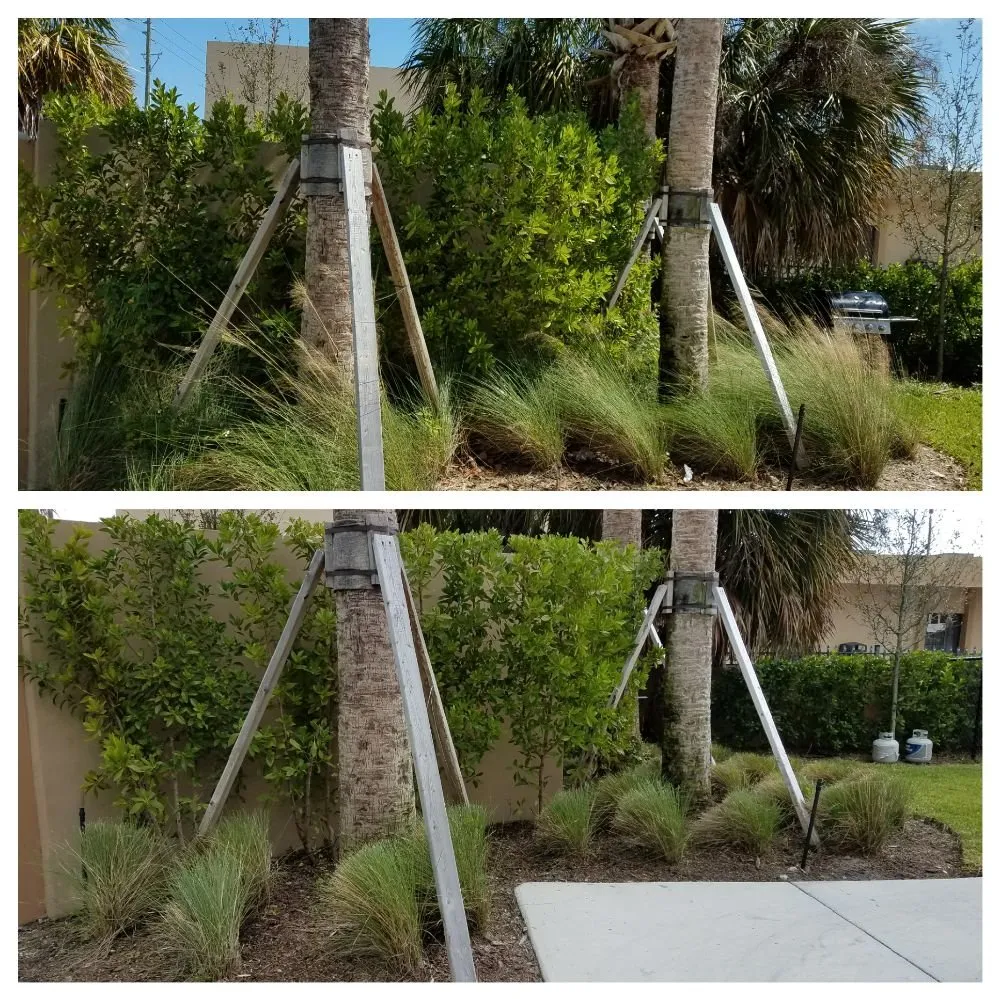 Professional yard cleanup service near you in North Miami Beach, FL by Alex's Landscaping Service Corp