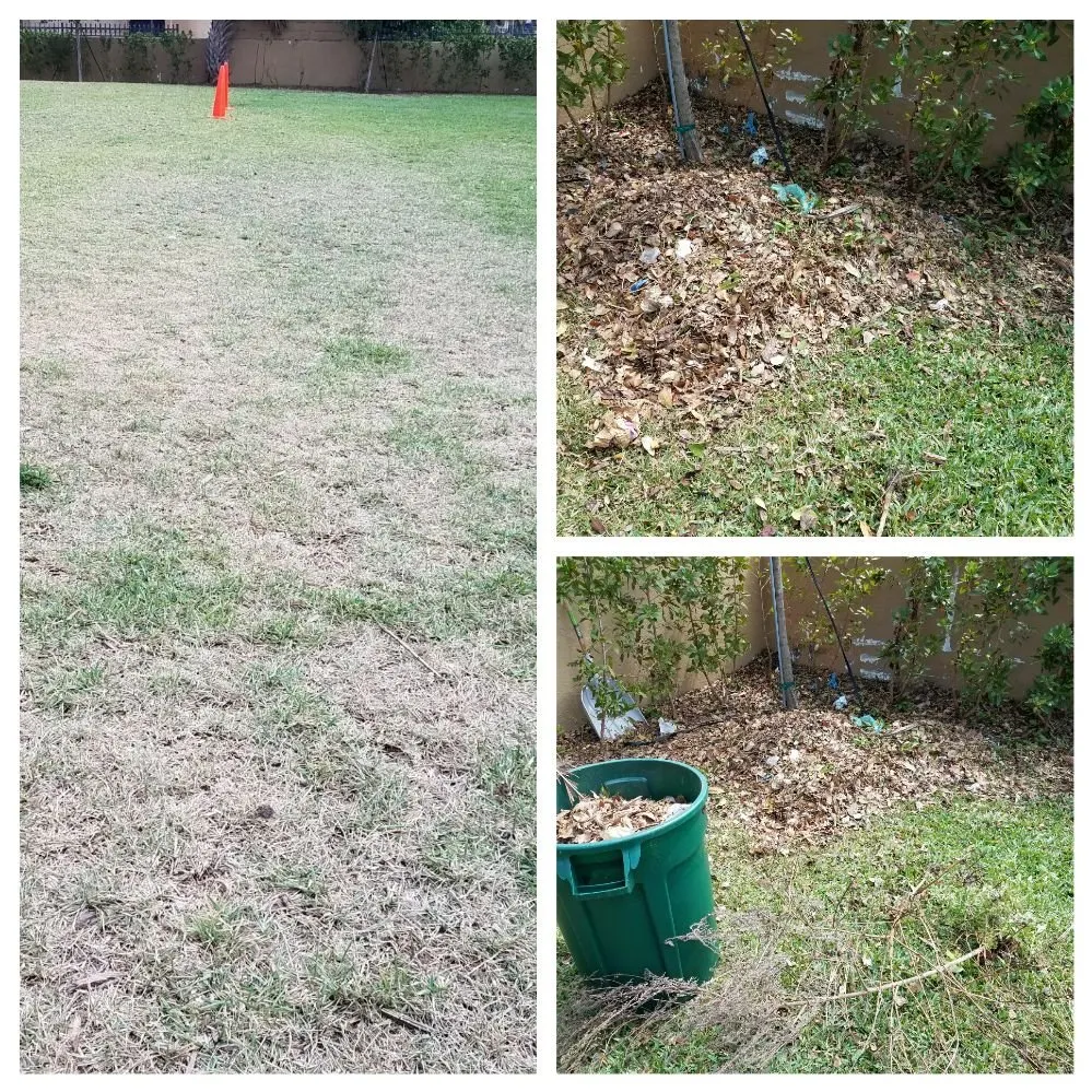 Local lawn mowing service for outdoor upgrades in North Miami Beach, FL by Alex's Landscaping Service Corp