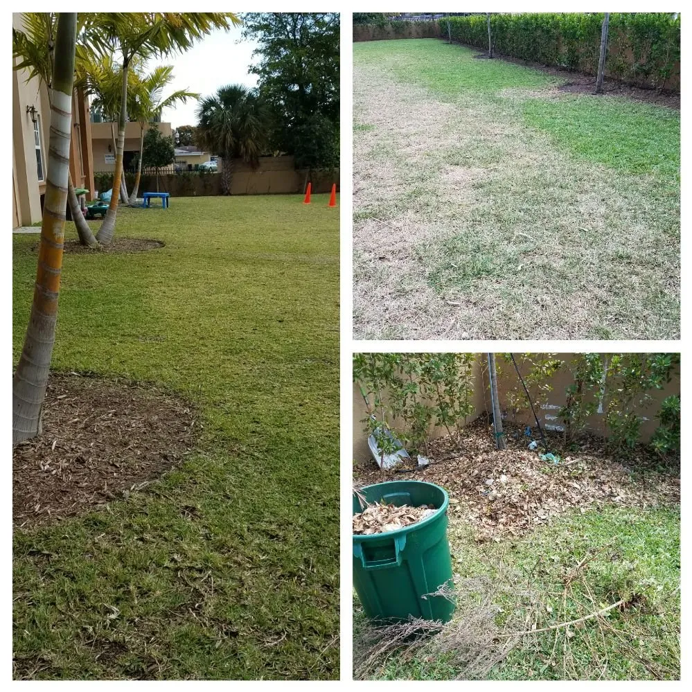 Local yard maintenance in North Miami Beach, FL by Alex's Landscaping Service Corp