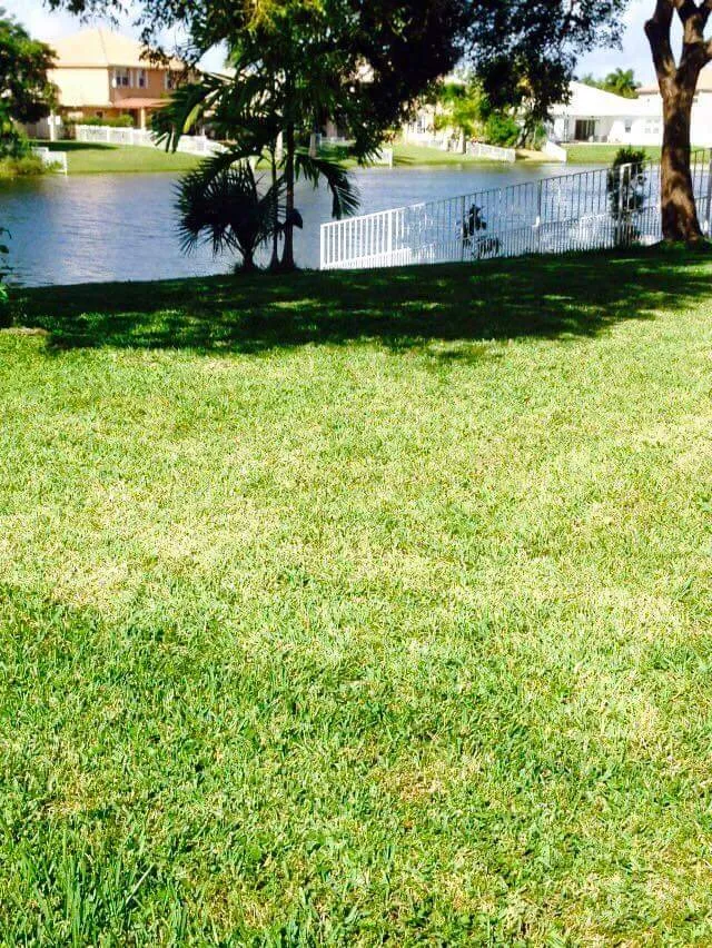 Professional garden landscaping experts serving North Miami Beach, FL - Alex's Landscaping Service Corp