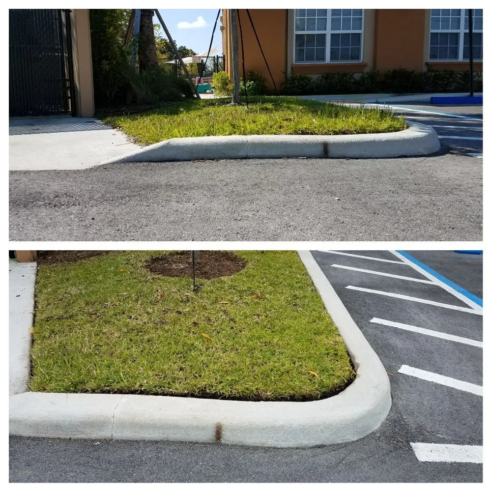 Affordable landscape design for outdoor upgrades in North Miami Beach, FL by Alex's Landscaping Service Corp