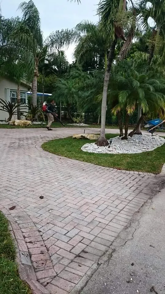 Affordable landscape design experts serving North Miami Beach, FL - Alex's Landscaping Service Corp