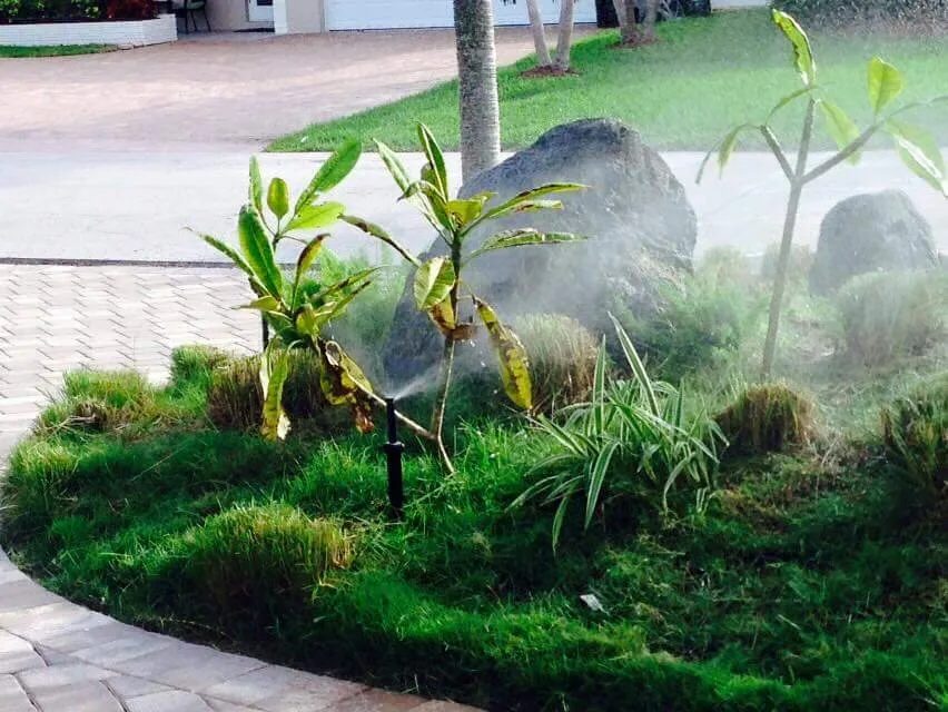 Trusted landscape design for beautiful yards in North Miami Beach, FL by Alex's Landscaping Service Corp