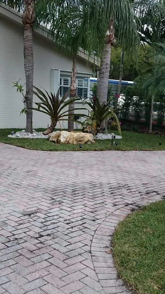 Expert yard maintenance for outdoor upgrades across North Miami Beach, FL - Alex's Landscaping Service Corp