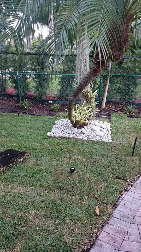 Expert landscaping services for homes in North Miami Beach, FL by Alex's Landscaping Service Corp
