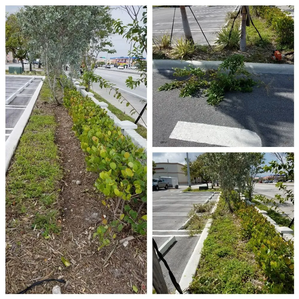 Affordable lawn mowing service for beautiful yards across North Miami Beach, FL - Alex's Landscaping Service Corp