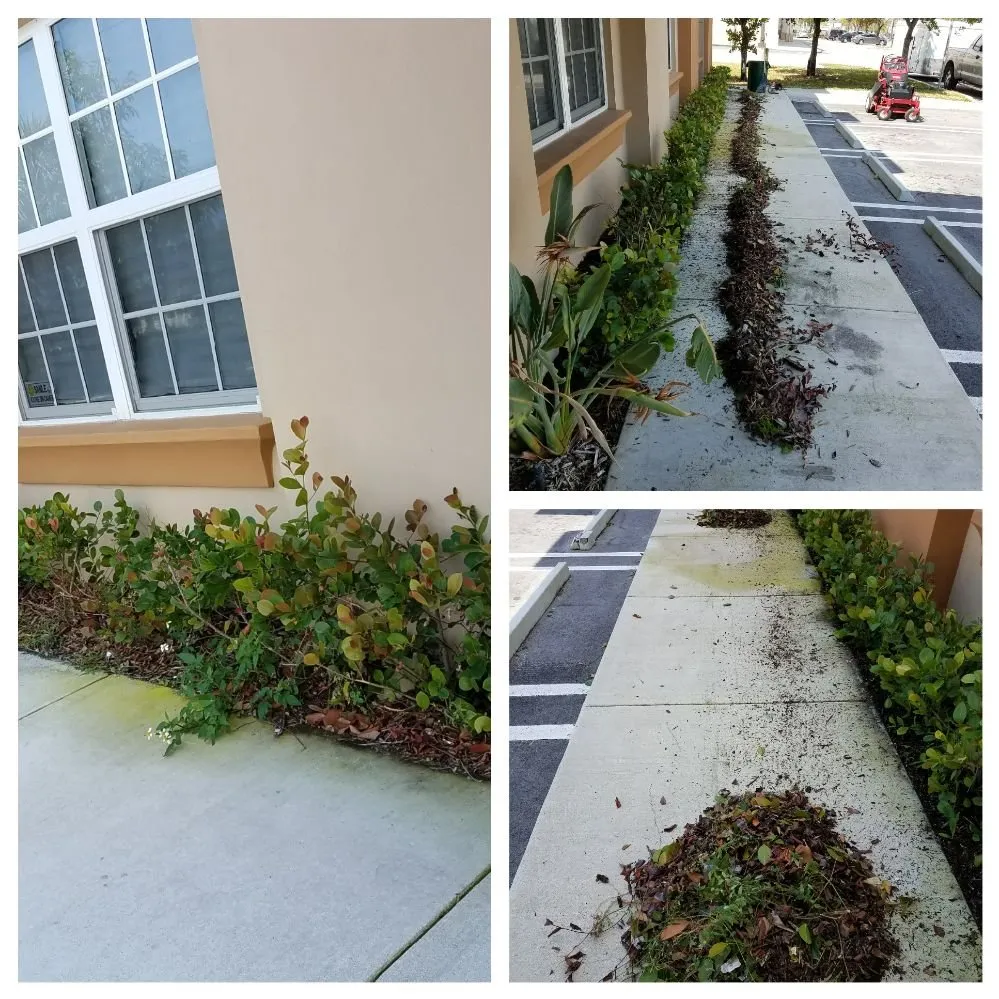 Professional landscaping services in North Miami Beach, FL - Alex's Landscaping Service Corp