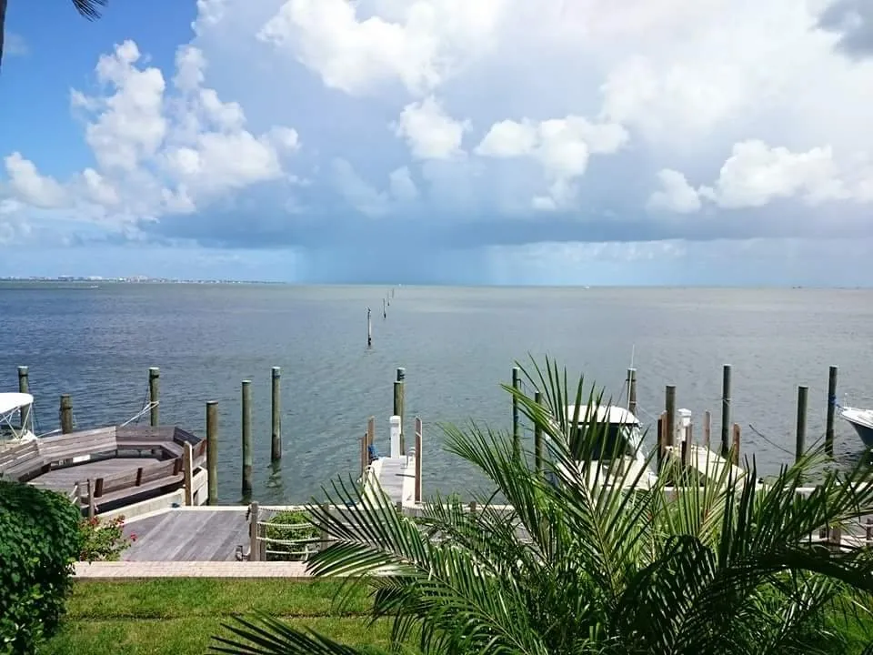 Local yard maintenance experts serving North Miami Beach, FL - Alex's Landscaping Service Corp