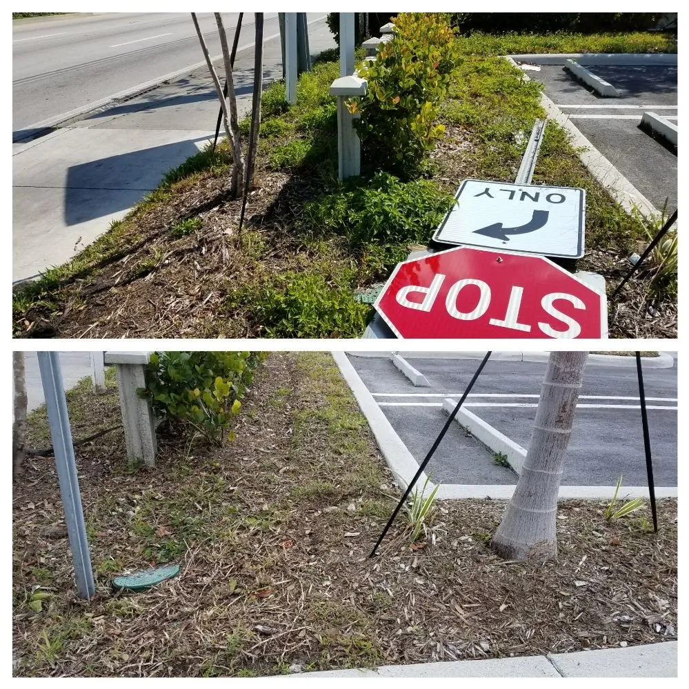 Top-rated residential landscaping experts serving North Miami Beach, FL - Alex's Landscaping Service Corp