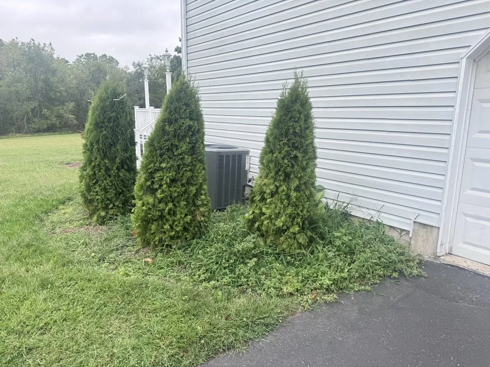 Reliable garden landscaping experts serving Philadelphia, PA - Alex’s Landscaping Service