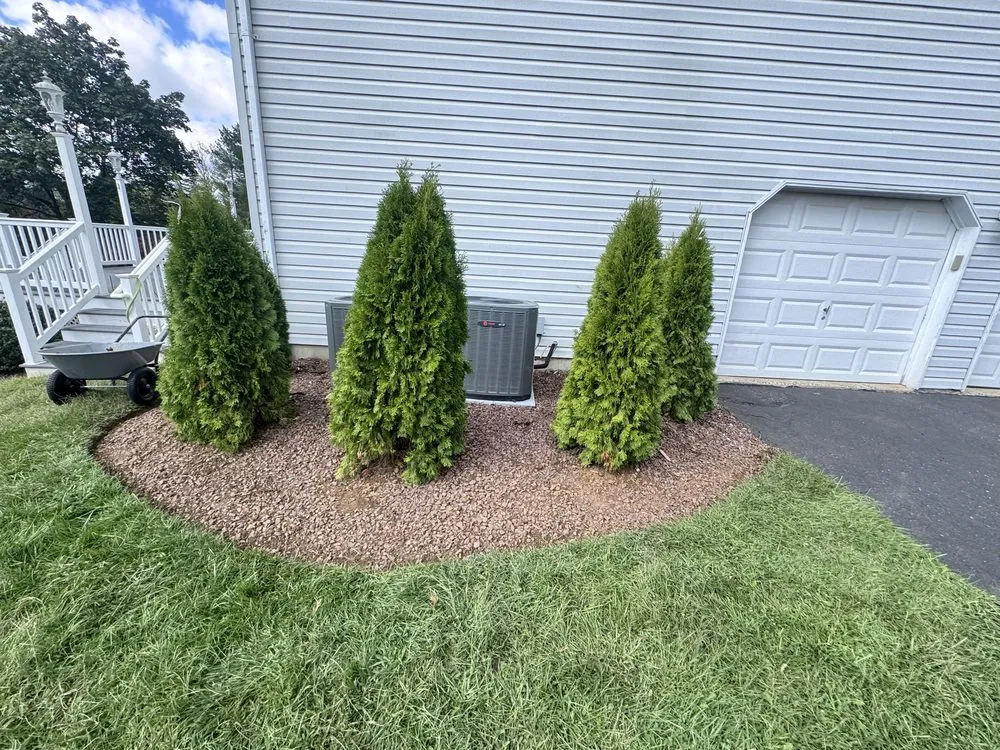 Affordable yard cleanup service in Philadelphia, PA by Alex’s Landscaping Service