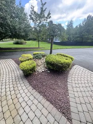 Alex’s Landscaping Service Logo